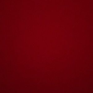 Meet your Posher, Eva